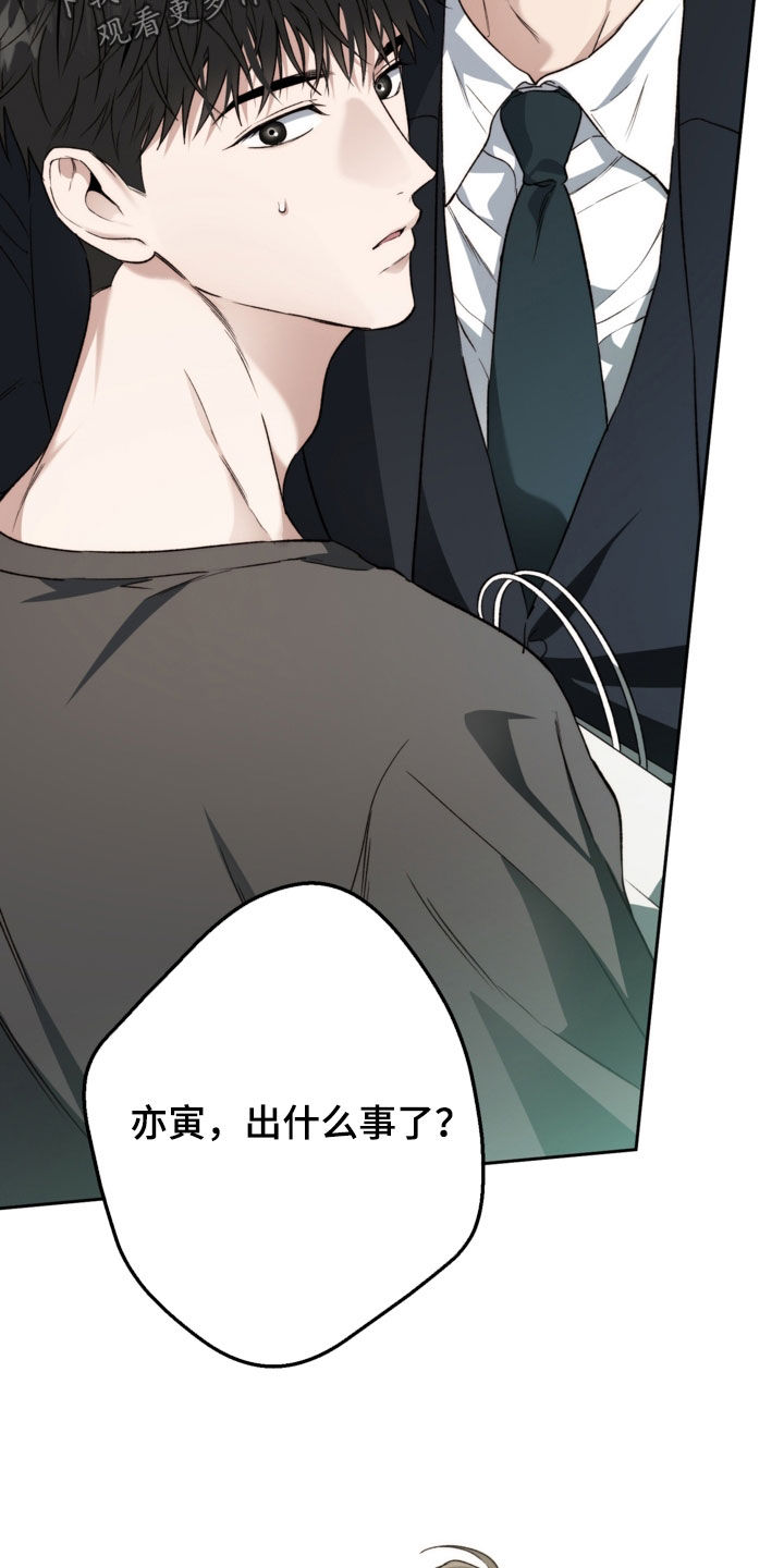 猛兽育儿书漫画,第68章：撞见3图