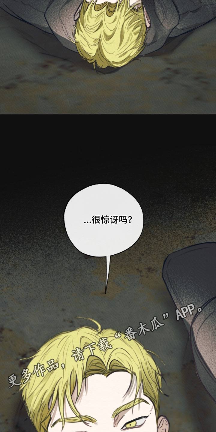 我的完美男友漫画,第71章：很惊讶3图