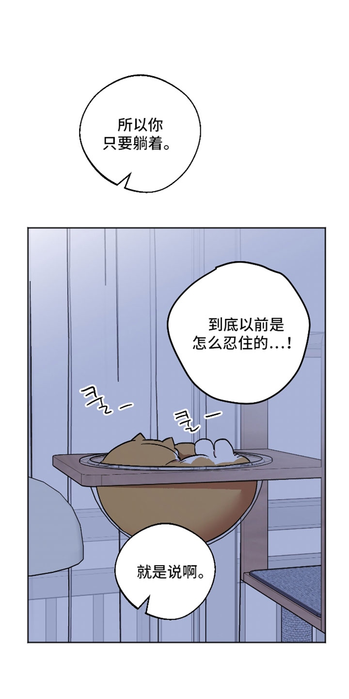 前世的祈愿漫画,第81章：以后答应我的愿望2图