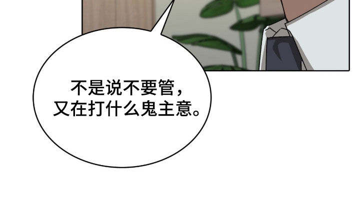 一对一送货漫画,第71章：上策1图