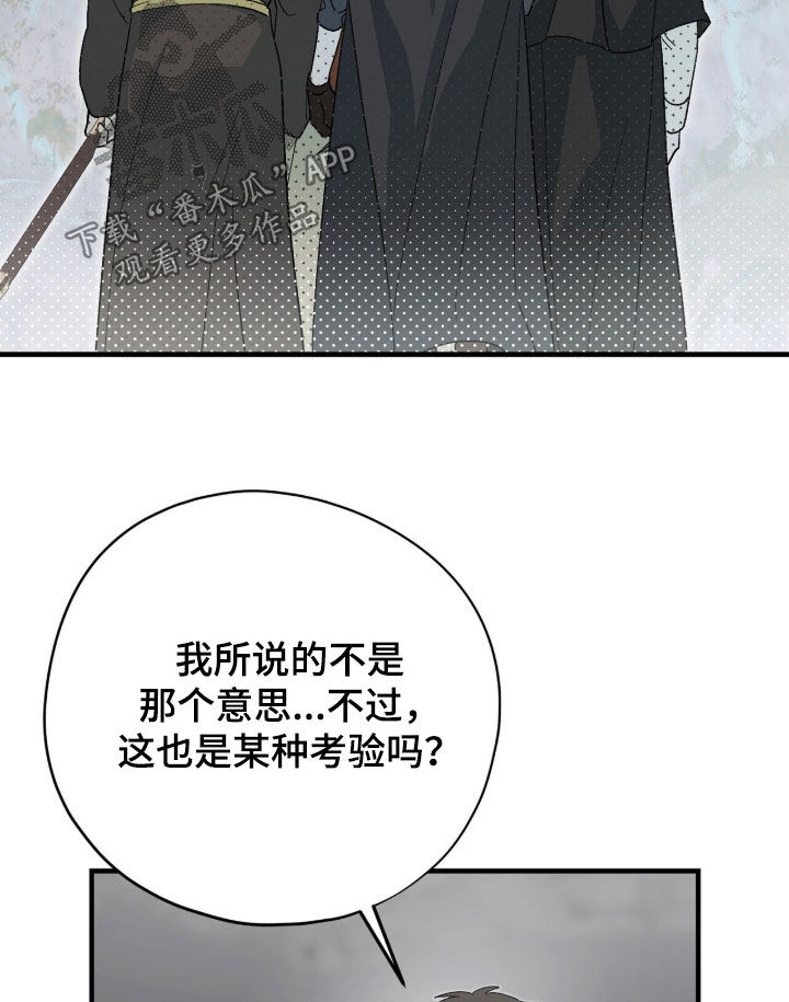 黑暗时代漫画,第78章：石像4图