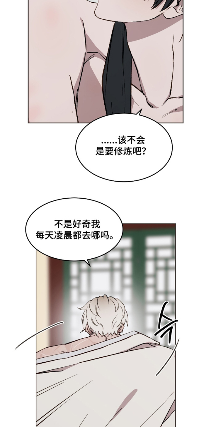 白虎之王漫画,第53章：【第二季】如你所见1图