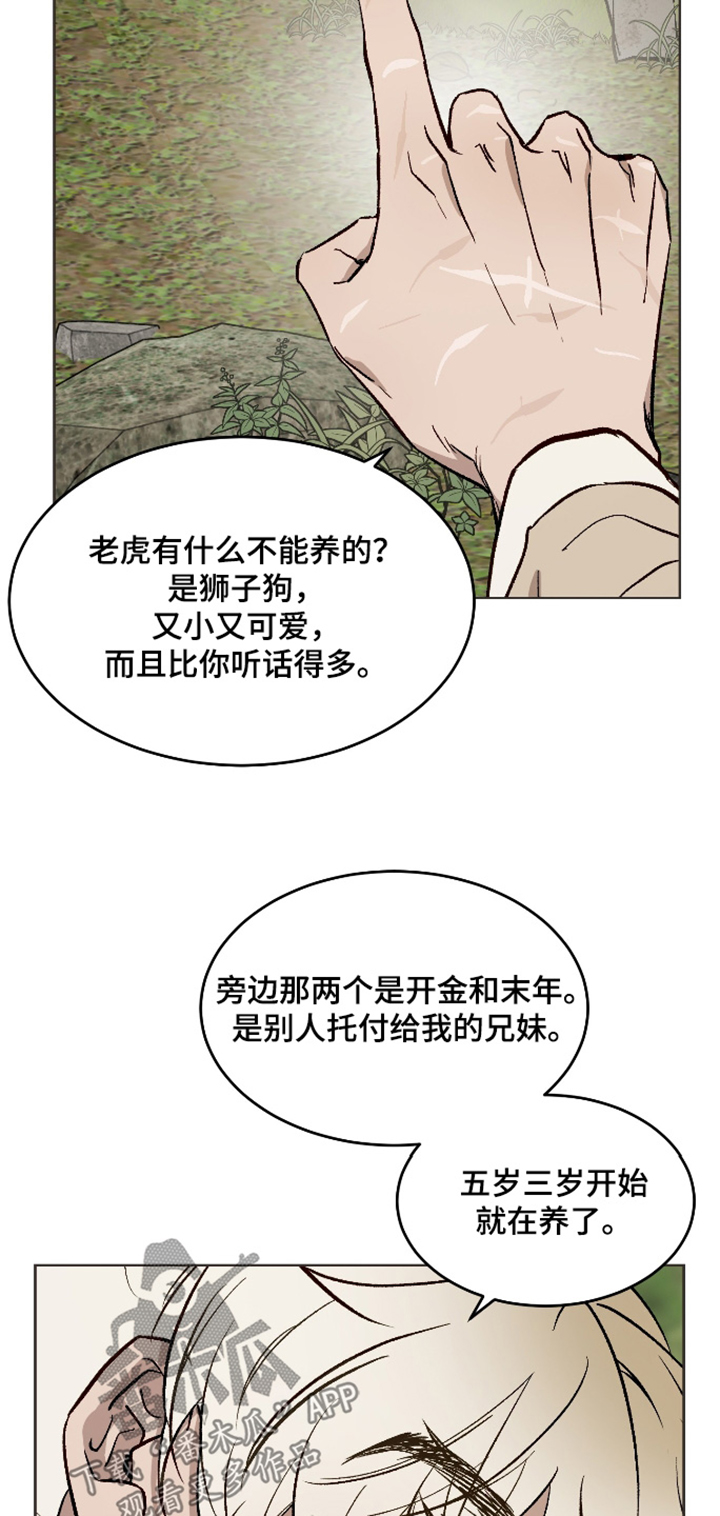 白虎之王漫画,第53章：【第二季】如你所见3图