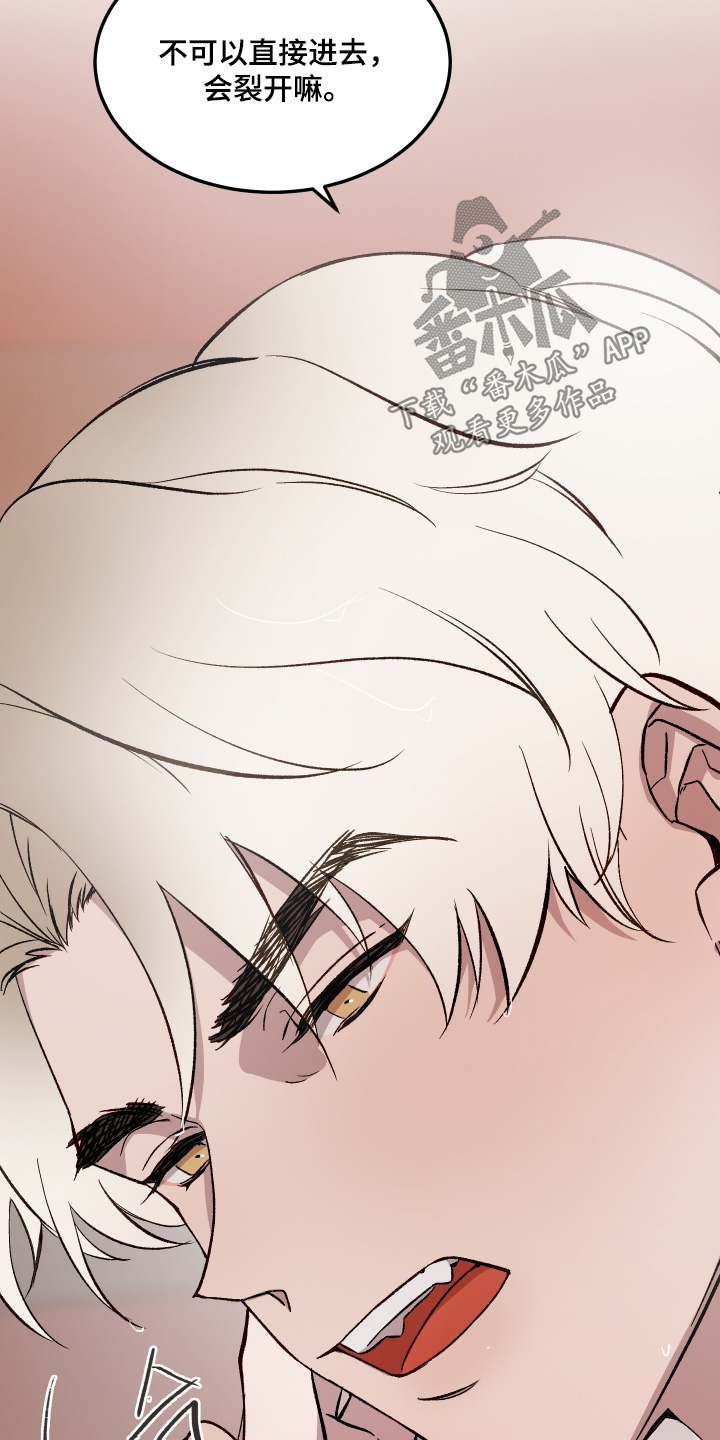 白虎之王漫画,第52章：【第二季】你来吧3图