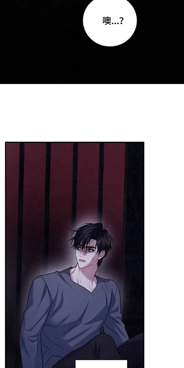 囚爱开端后续漫画,第74章：噩梦5图