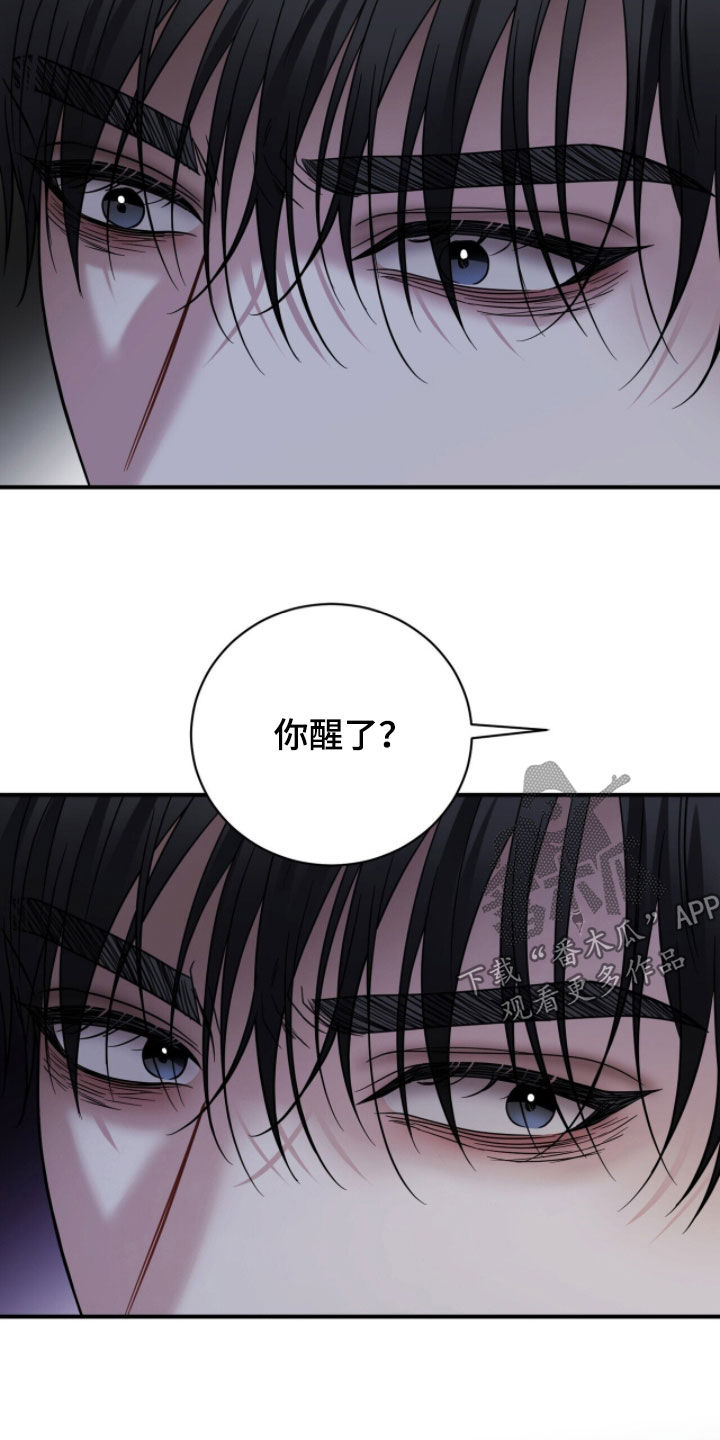 囚爱开端漫画好看吗漫画,第75章：囚笼3图