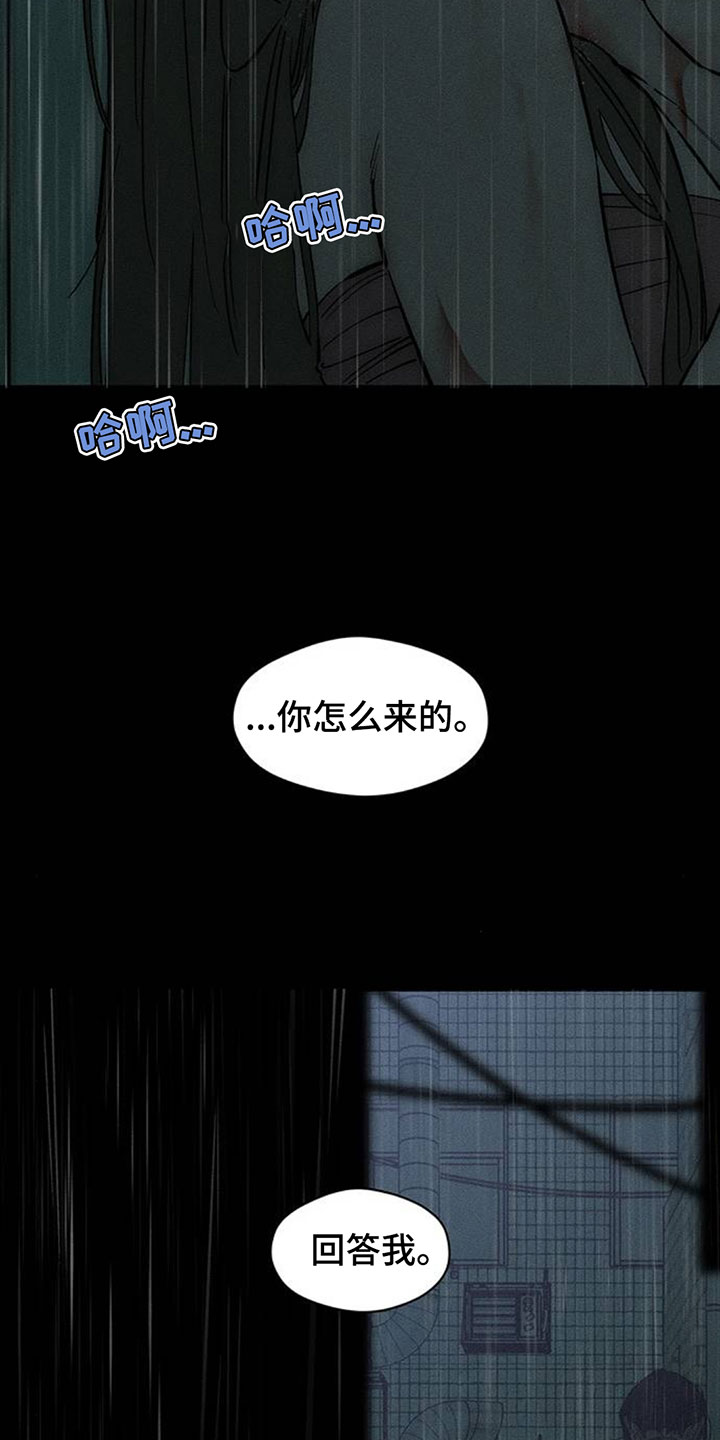 枯萎的花伤心的泪漫画,第239章：我总是跟在你身后5图