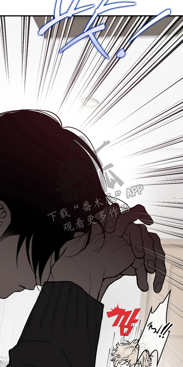 在我掌控中漫画,第52章：都忘记了2图