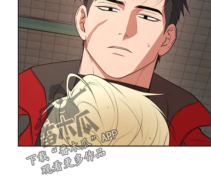 幽灯信标漫画免费观看完漫画,第39章：钱就不需要了5图