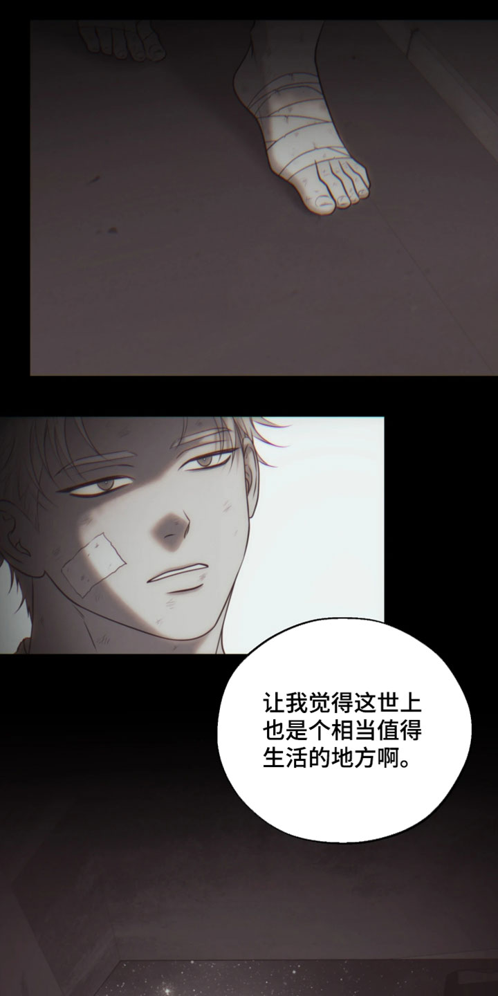幽灯蕈除了鹤观还有哪里能采到漫画,第36章：相当值得生活的地方4图