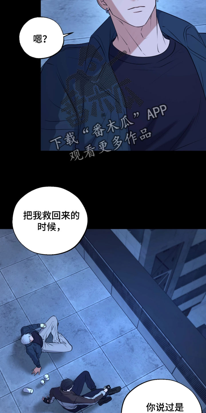 幽灯蕈除了鹤观还有哪里能采到漫画,第36章：相当值得生活的地方3图