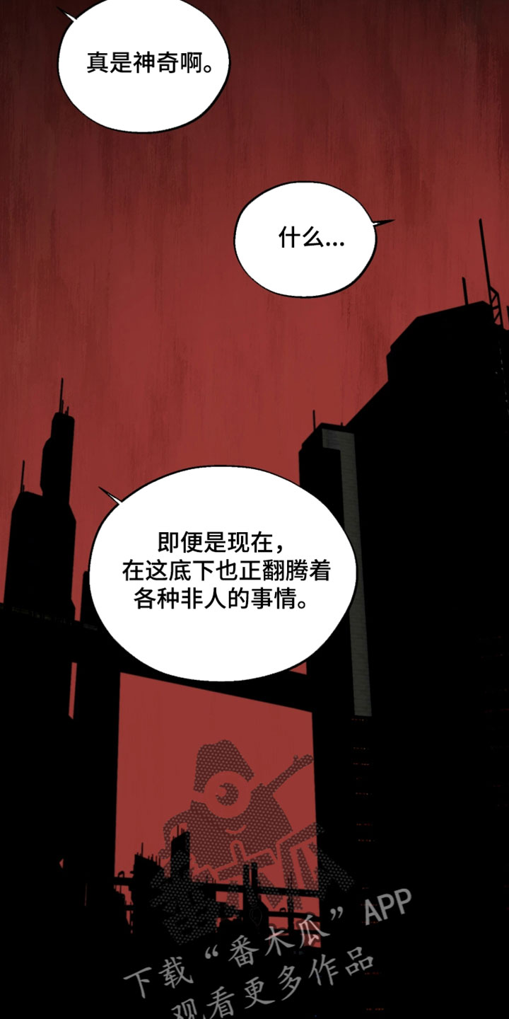 幽灯蕈除了鹤观还有哪里能采到漫画,第36章：相当值得生活的地方5图