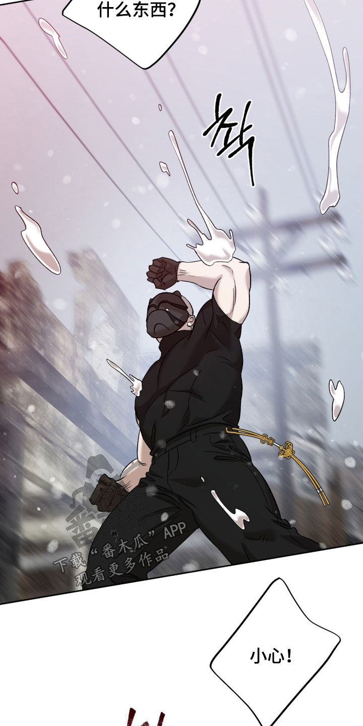 双生悲愿漫画更新时间漫画,第77章：痛杀队友4图