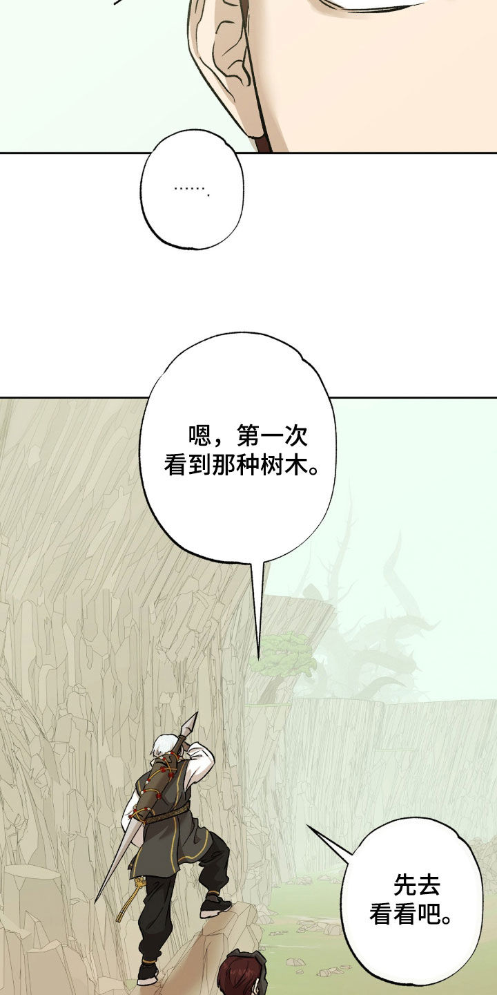 双生悲愿弟弟真的死了吗漫画,第73章：荆棘怪树3图