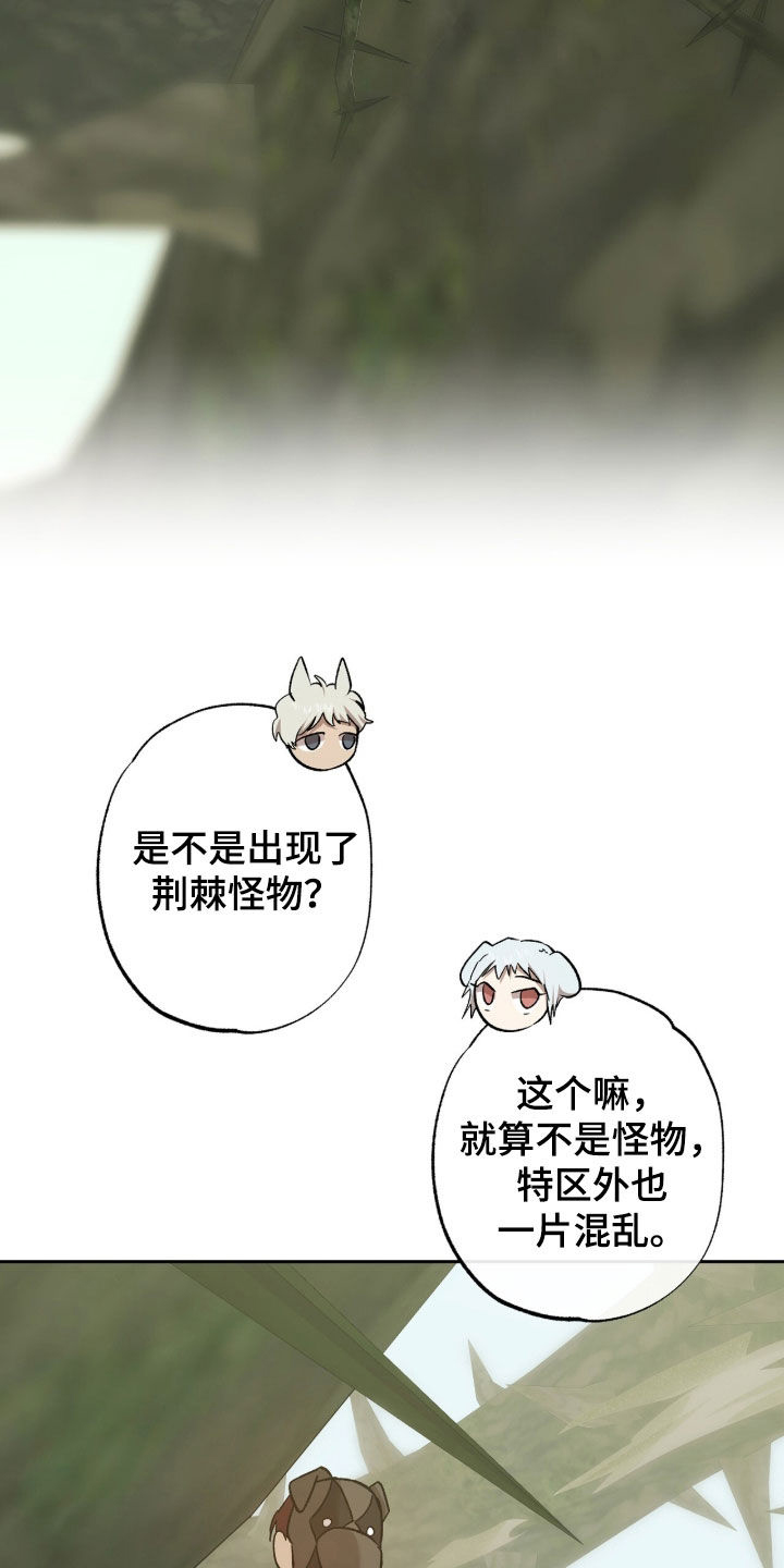 双生悲愿弟弟真的死了吗漫画,第73章：荆棘怪树2图