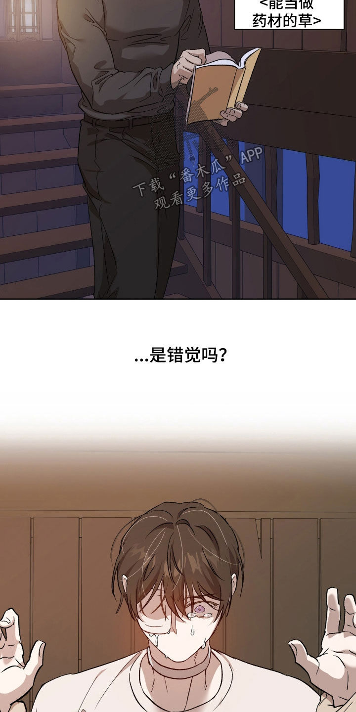 双生悲愿弟弟真的死了吗漫画,第73章：荆棘怪树2图