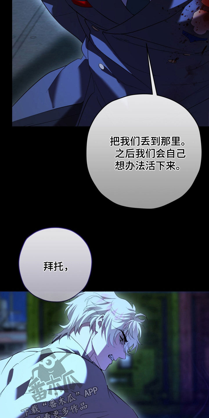 无间搭档漫画,第72章：真相2图