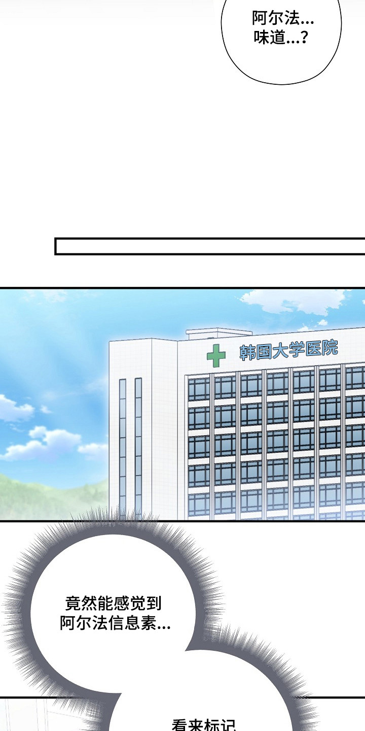 标记我的首席漫画,第56章：咨询1图