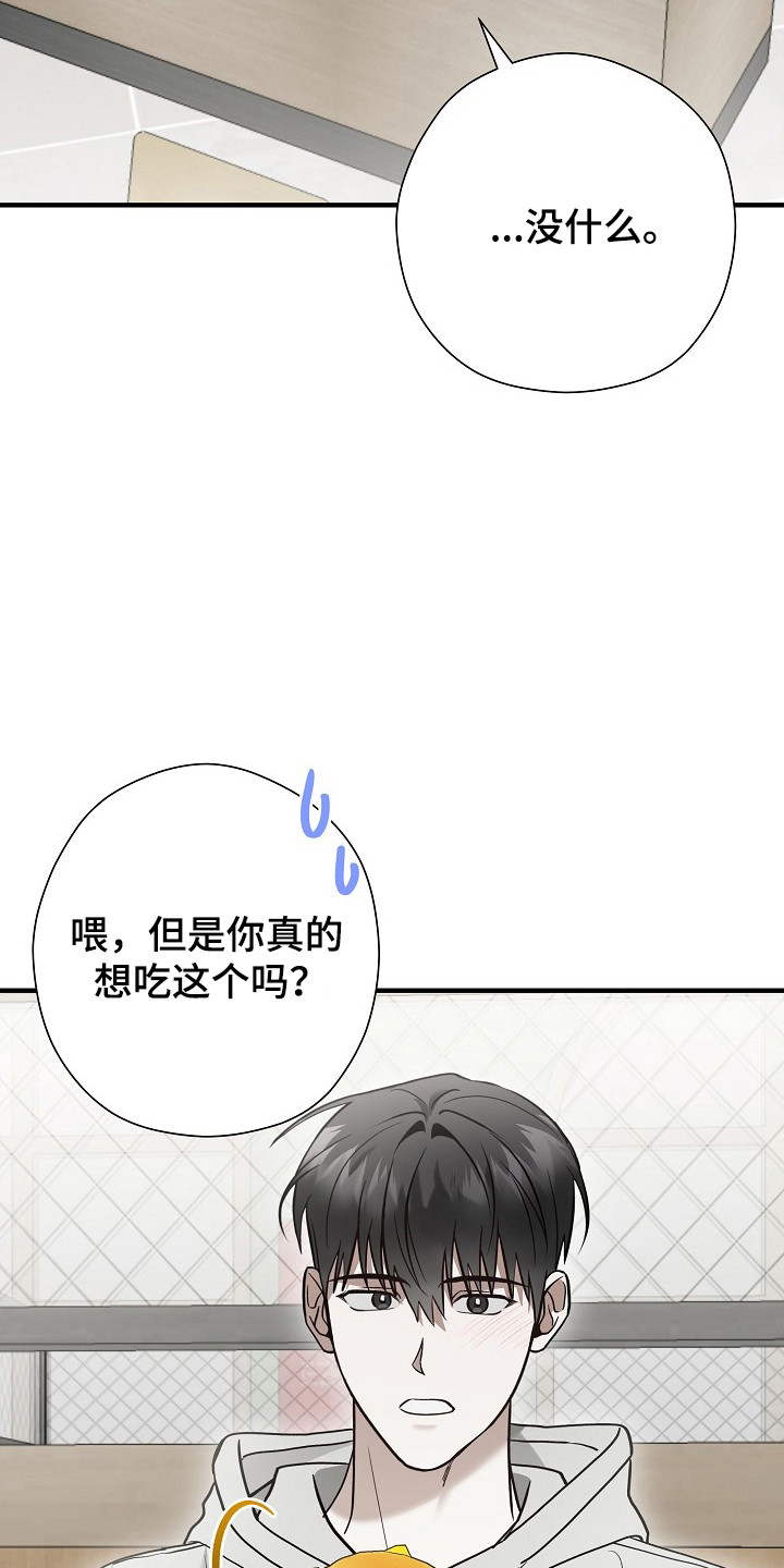 标记我的首席漫画,第56章：咨询3图