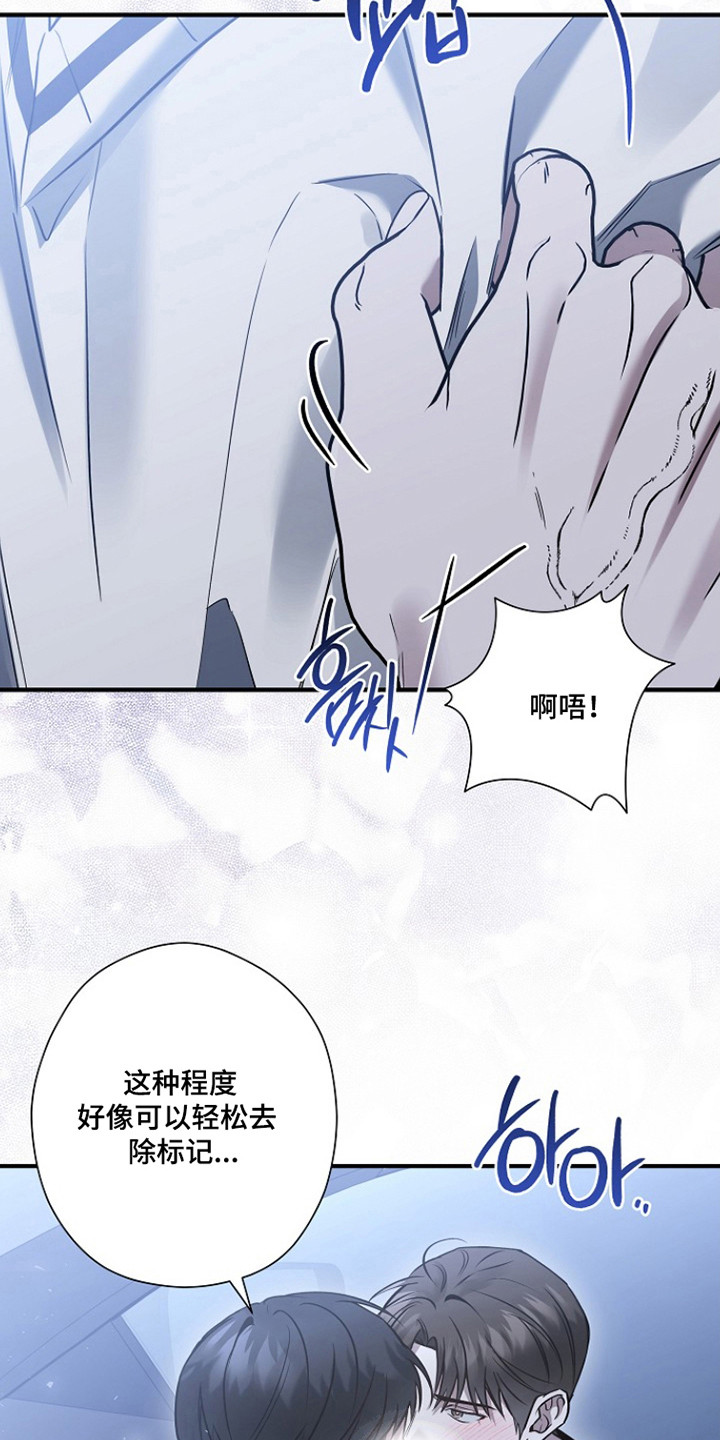 标记我的首席漫画,第65章：接吻帮助4图