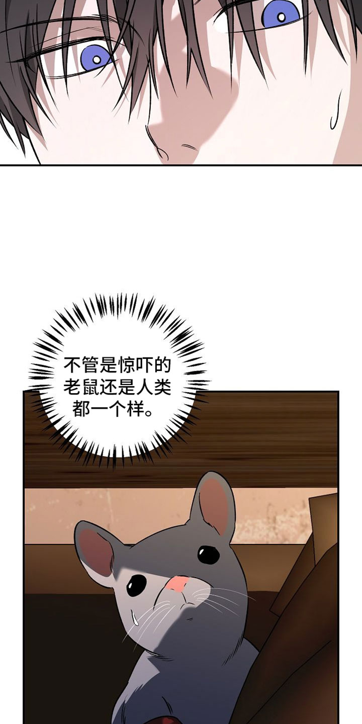 命中犯虎漫画,第63章：你在这里等着3图