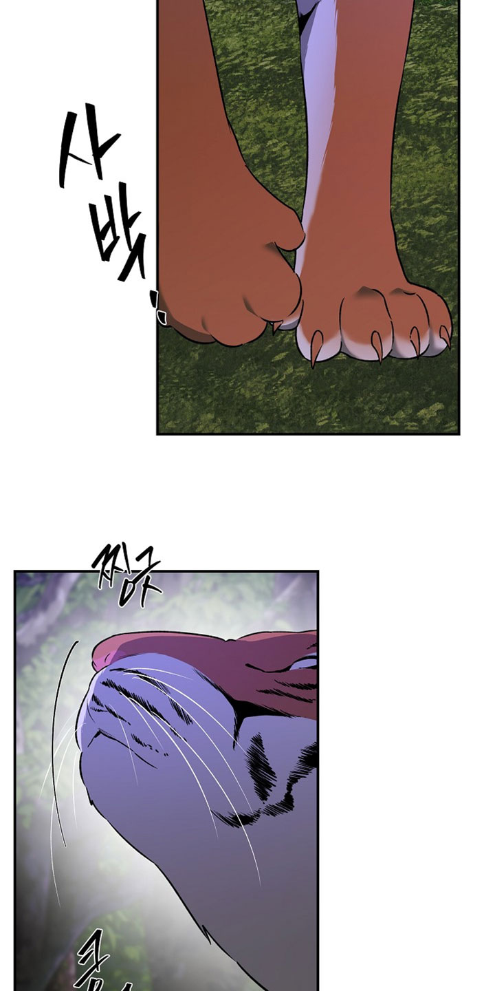 命中犯虎漫画,第65章：有点不一样3图