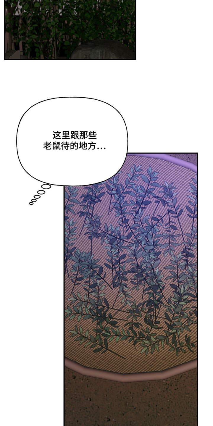 命中犯虎漫画,第65章：有点不一样2图
