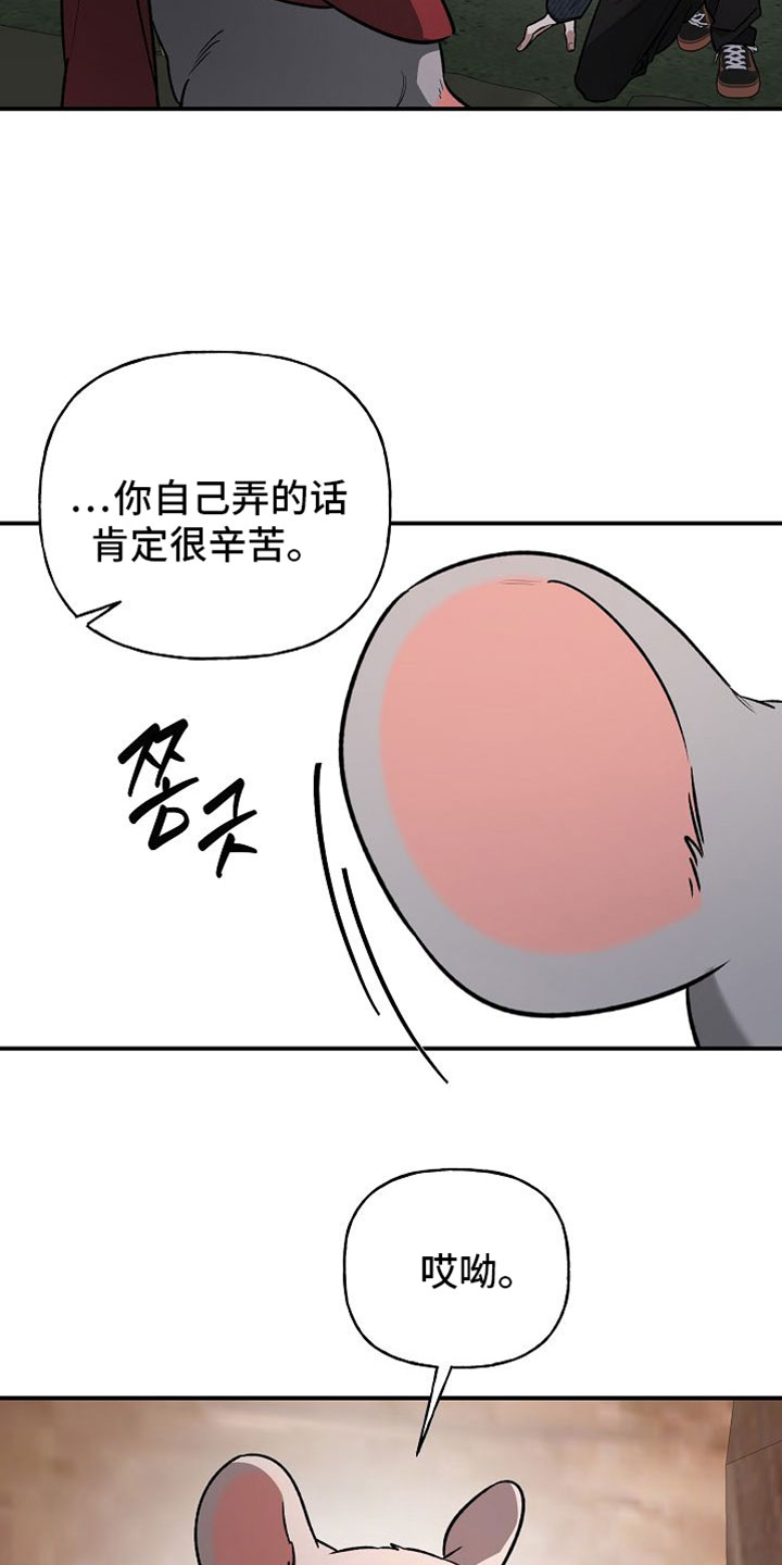 命中犯虎漫画,第63章：你在这里等着5图