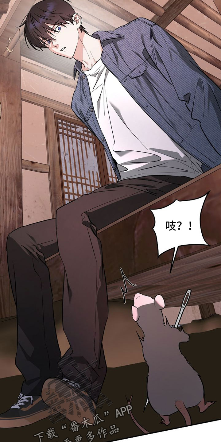 命中犯虎漫画,第64章：得赶紧告诉大人5图