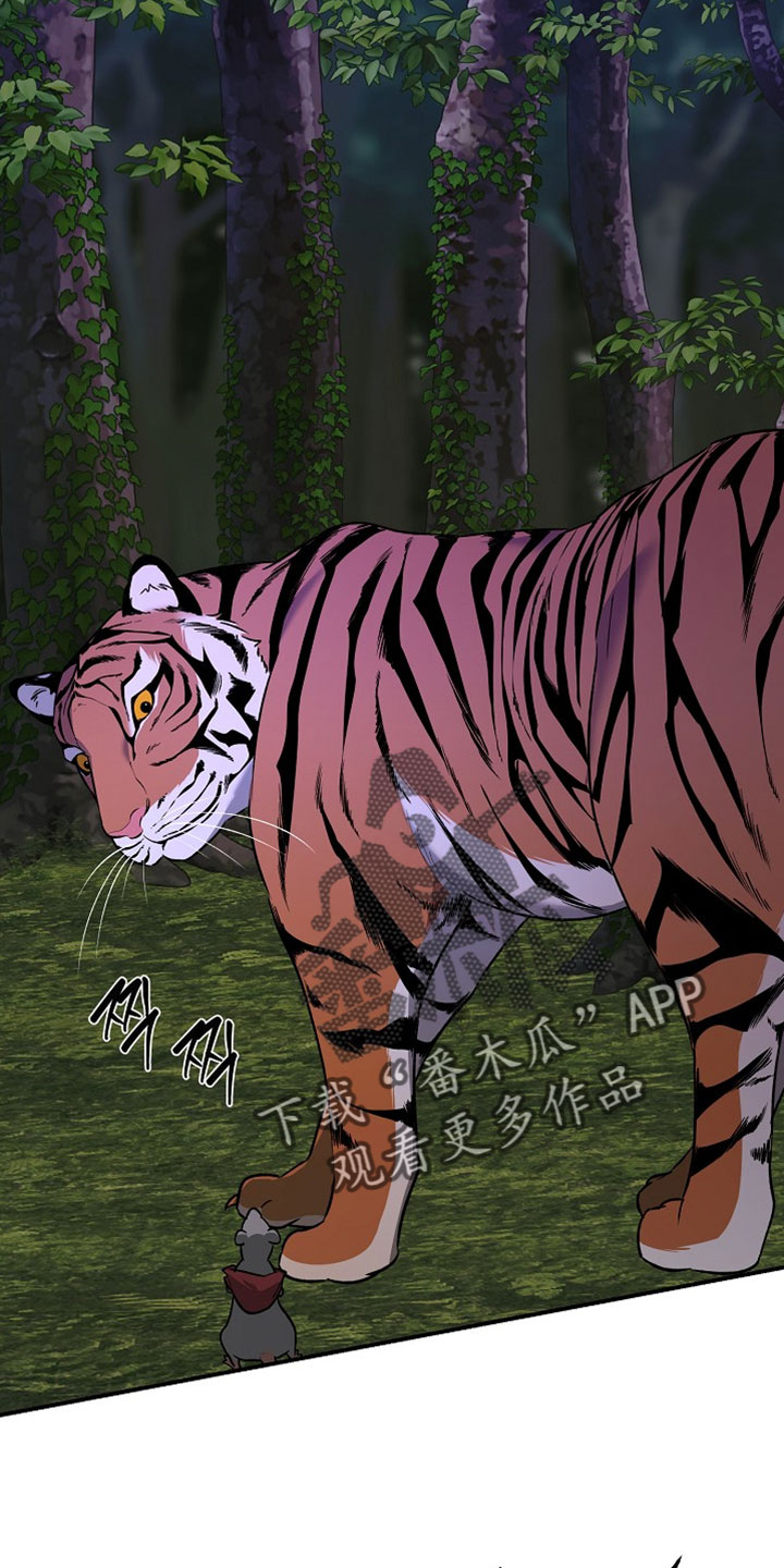 命中犯虎漫画,第65章：有点不一样4图