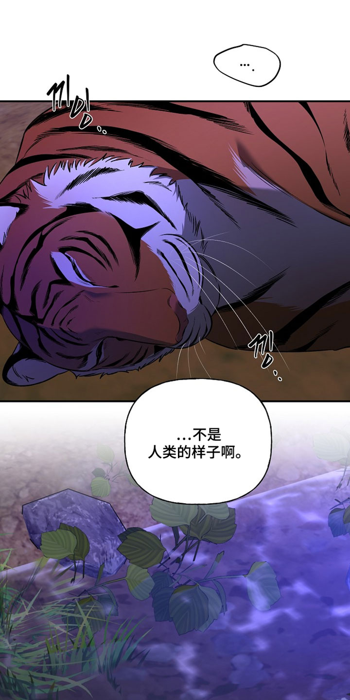 命中犯虎漫画,第66章：治疗1图