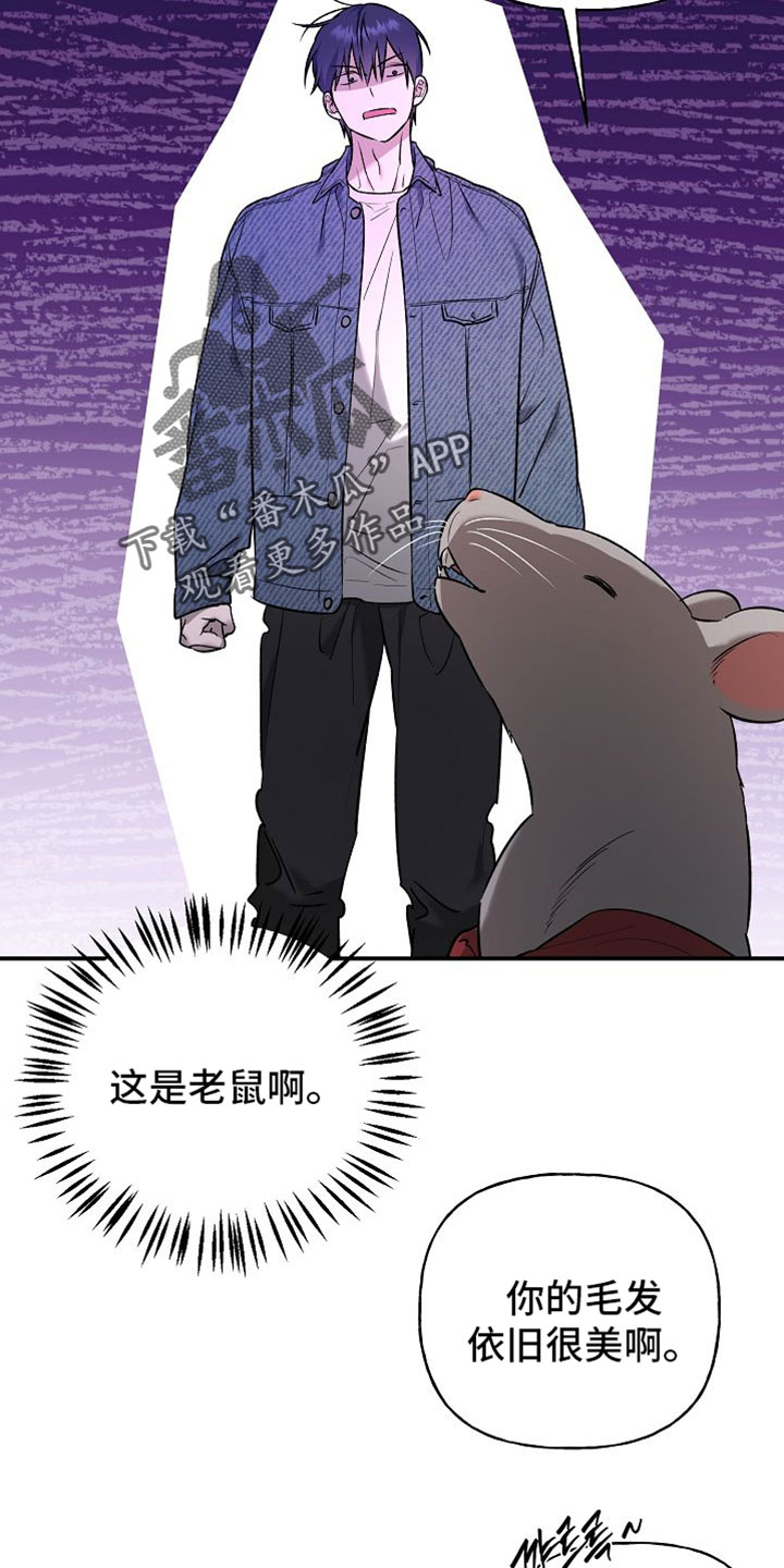 命中犯虎漫画,第63章：你在这里等着3图