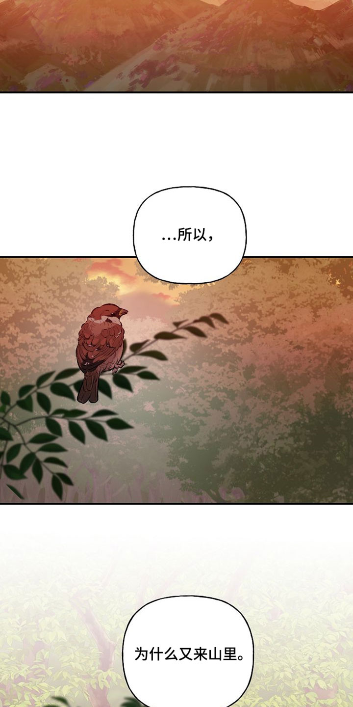 命中犯虎漫画,第62章：老鼠4图
