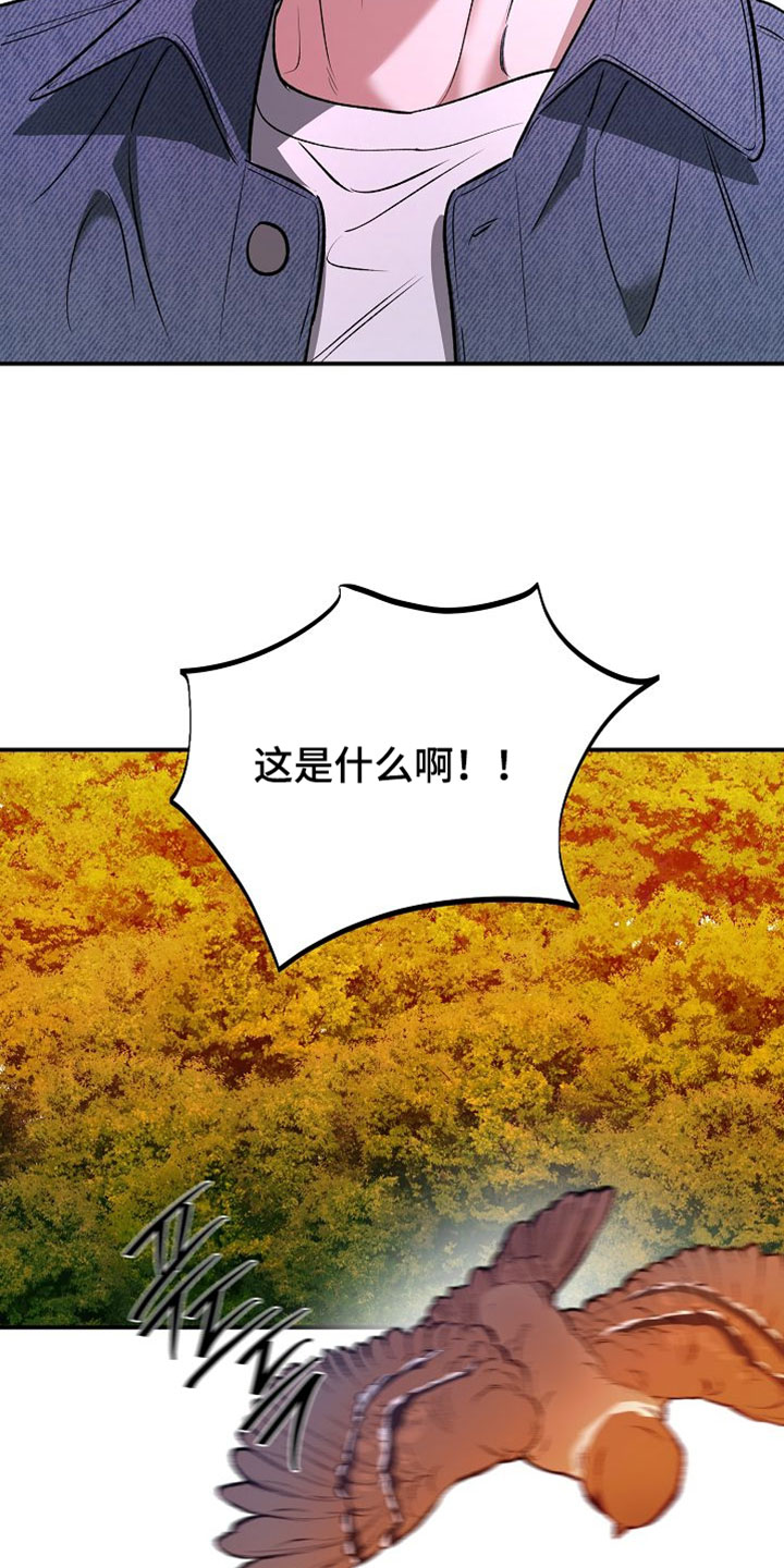 命中犯虎漫画,第62章：老鼠5图