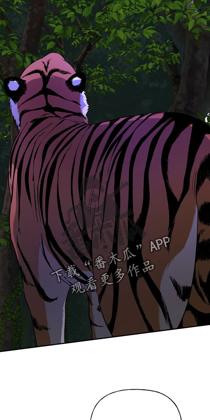 命中犯虎漫画,第65章：有点不一样5图