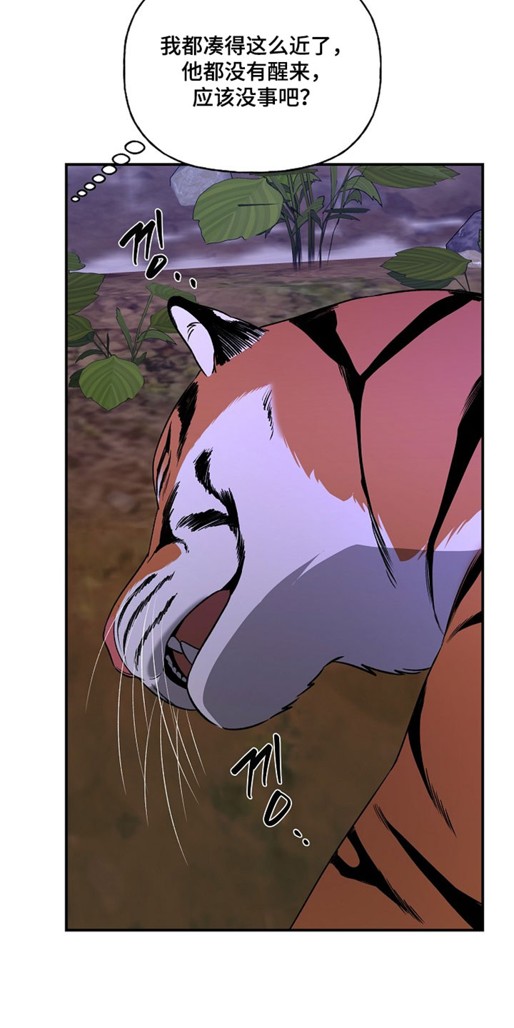 命中犯虎漫画,第66章：治疗5图