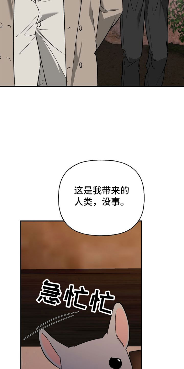 命中犯虎漫画,第63章：你在这里等着5图