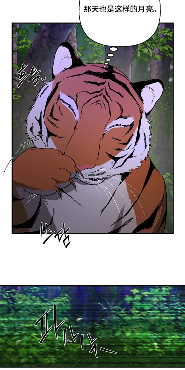 命中犯虎漫画,第65章：有点不一样1图