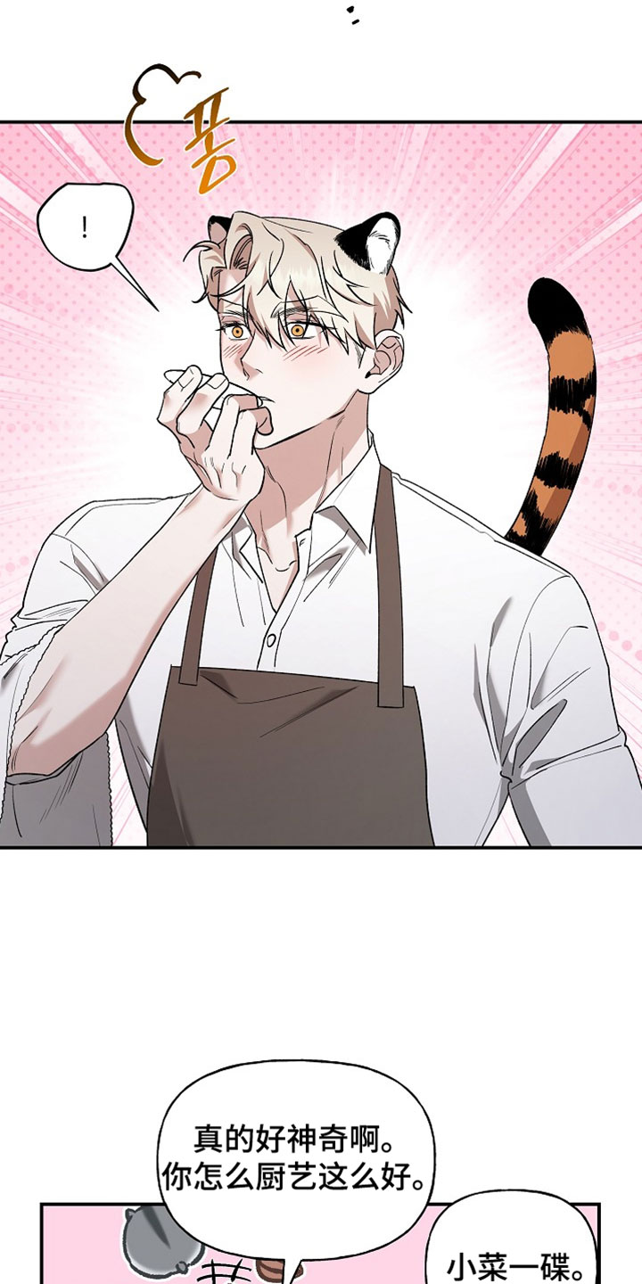 命中犯虎漫画,第70章：看着很养眼1图