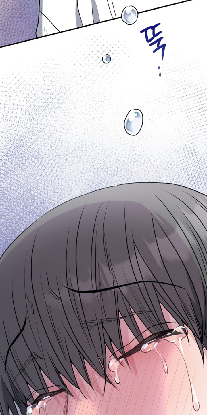 星光与谎言漫画,第63章：我现在去你家1图