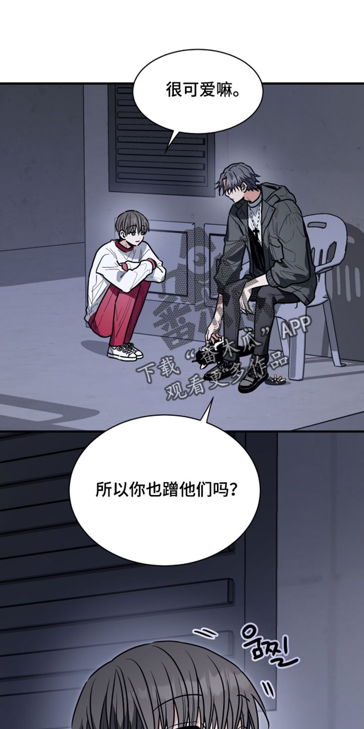 星光与谎言漫画,第60章：和你有什么关系3图
