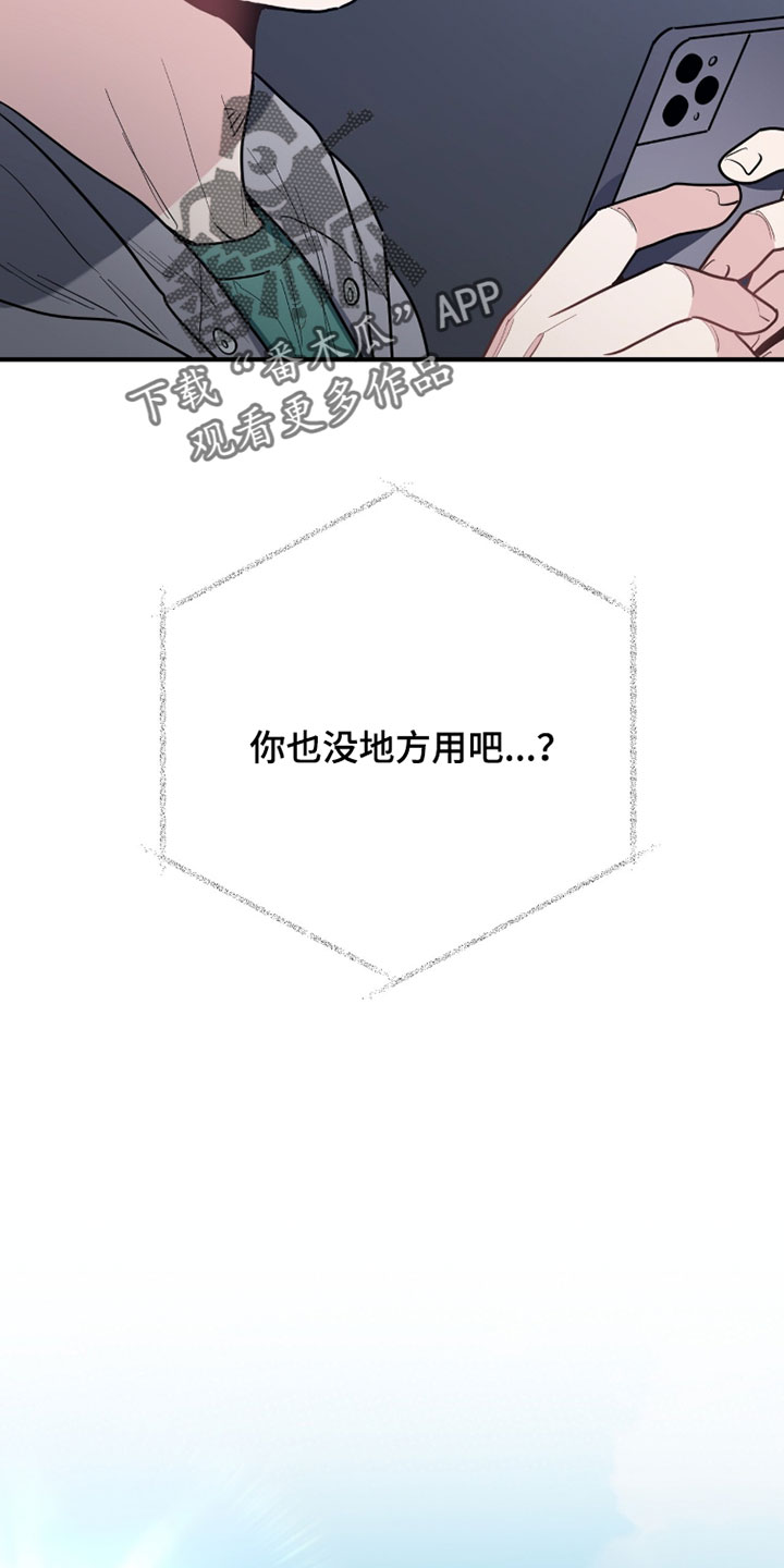 星光与谎言漫画,第56章：这次一定要查出来3图