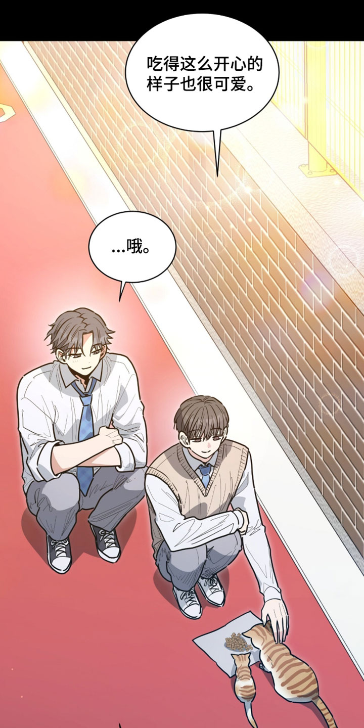 星光与谎言漫画,第61章：跟踪狂2图