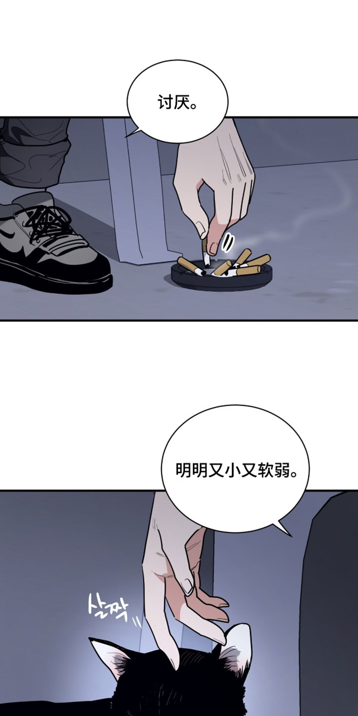 星光与谎言漫画,第60章：和你有什么关系5图