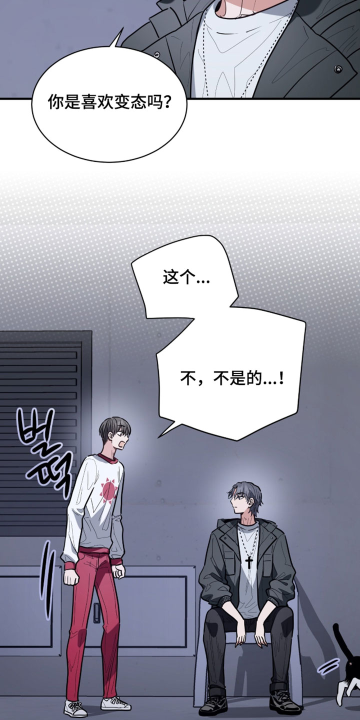 星光与谎言漫画,第60章：和你有什么关系5图