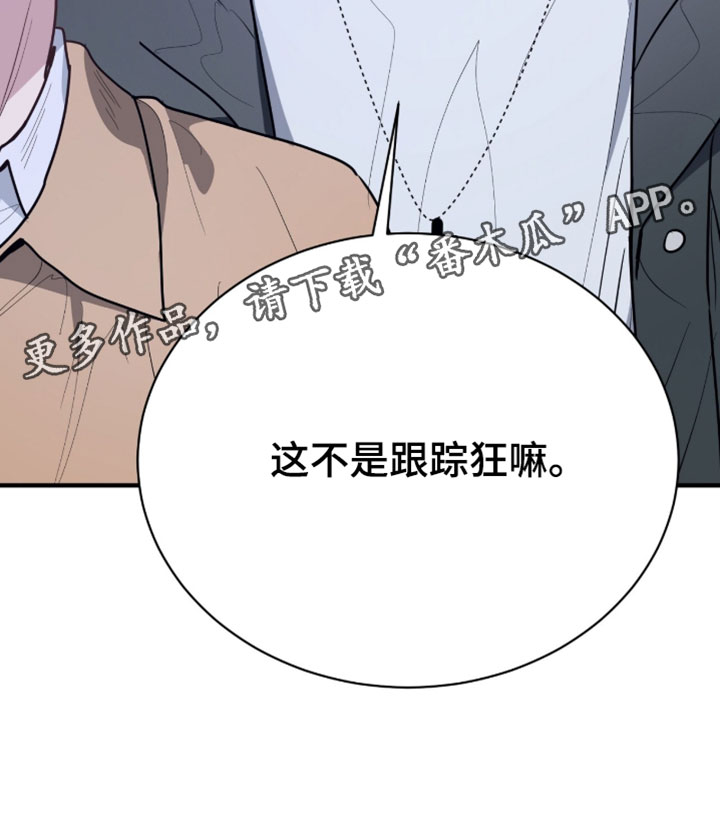 星光与谎言漫画,第61章：跟踪狂5图