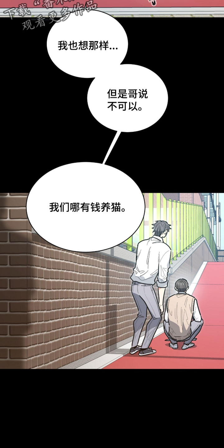 星光与谎言漫画,第61章：跟踪狂1图