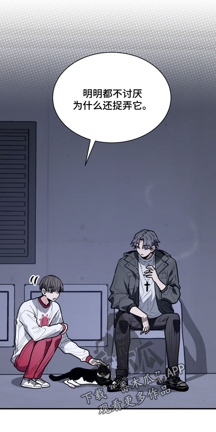 星光与谎言漫画,第60章：和你有什么关系4图