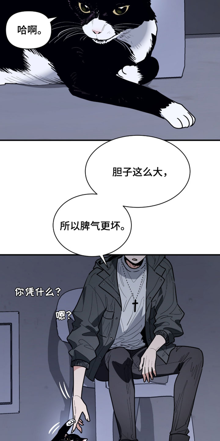 星光与谎言漫画,第60章：和你有什么关系1图