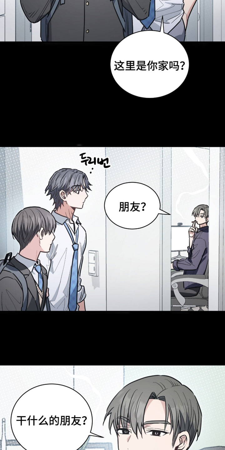 星光与谎言漫画,第53章：以后和我没关系3图